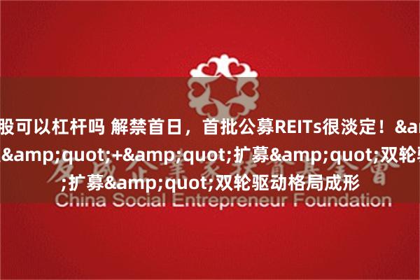 a股可以杠杆吗 解禁首日，首批公募REITs很淡定！&quot;首发&quot;+&quot;扩募&quot;双轮驱动格局成形