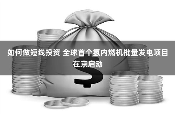 如何做短线投资 全球首个氢内燃机批量发电项目在京启动