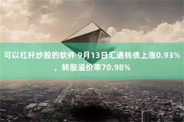 可以杠杆炒股的软件 9月13日汇通转债上涨0.93%，转股溢价率70.98%