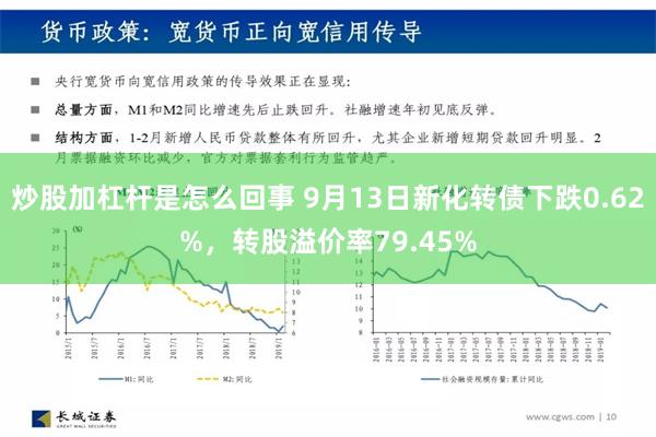 炒股加杠杆是怎么回事 9月13日新化转债下跌0.62%，转股溢价率79.45%
