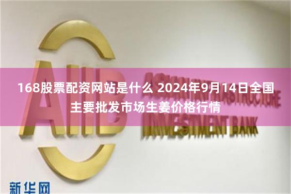 168股票配资网站是什么 2024年9月14日全国主要批发市场生姜价格行情