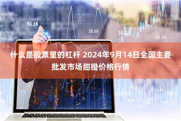 什么是股票里的杠杆 2024年9月14日全国主要批发市场甜橙价格行情