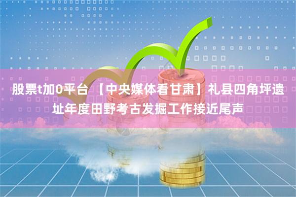 股票t加0平台 【中央媒体看甘肃】礼县四角坪遗址年度田野考古发掘工作接近尾声