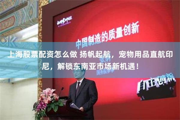 上海股票配资怎么做 扬帆起航，宠物用品直航印尼，解锁东南亚市场新机遇！