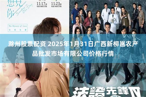 滁州股票配资 2025年1月31日广西新柳邕农产品批发市场有限公司价格行情