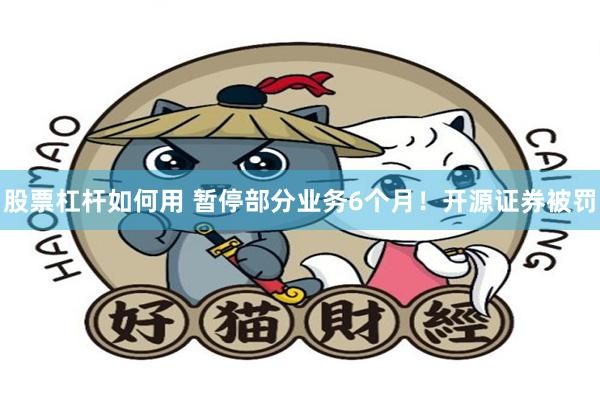 股票杠杆如何用 暂停部分业务6个月！开源证券被罚