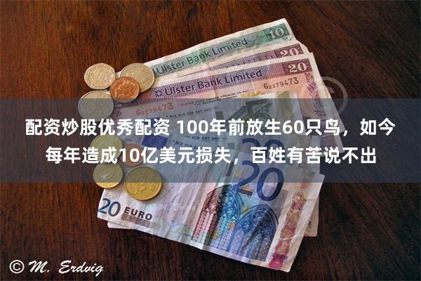 配资炒股优秀配资 100年前放生60只鸟，如今每年造成10亿美元损失，百姓有苦说不出