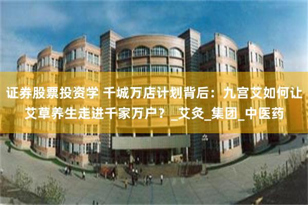 证券股票投资学 千城万店计划背后：九宫艾如何让艾草养生走进千家万户？_艾灸_集团_中医药