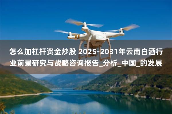 怎么加杠杆资金炒股 2025-2031年云南白酒行业前景研究与战略咨询报告_分析_中国_的发展