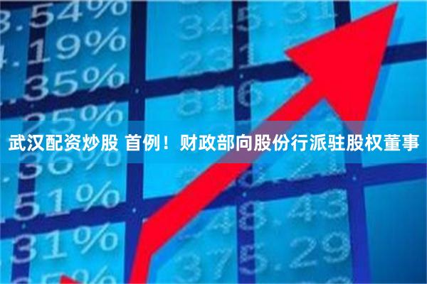 武汉配资炒股 首例！财政部向股份行派驻股权董事