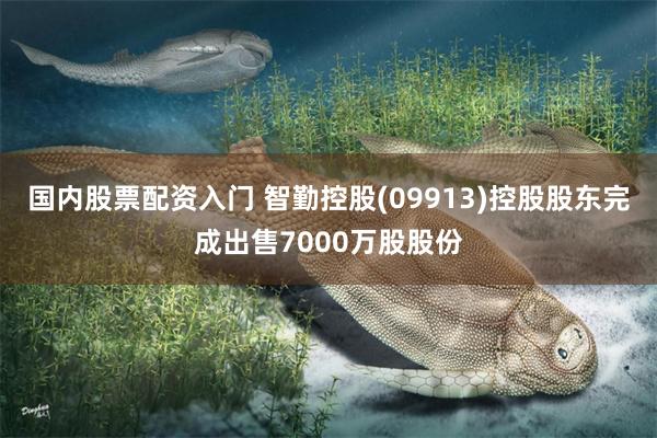 国内股票配资入门 智勤控股(09913)控股股东完成出售7000万股股份