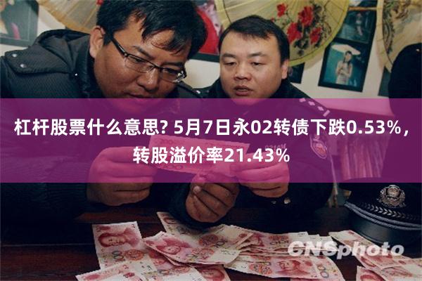 杠杆股票什么意思? 5月7日永02转债下跌0.53%，转股溢价率21.43%