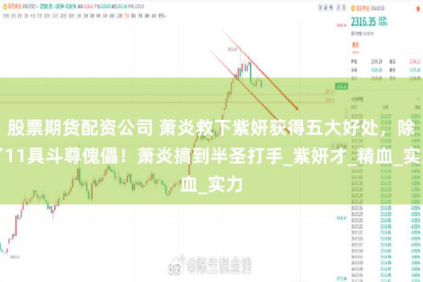 股票期货配资公司 萧炎救下紫妍获得五大好处，除了11具斗尊傀儡！萧炎搞到半圣打手_紫妍才_精血_实力