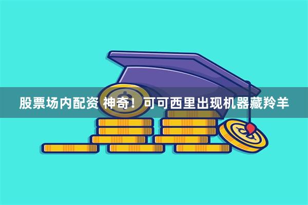 股票场内配资 神奇！可可西里出现机器藏羚羊