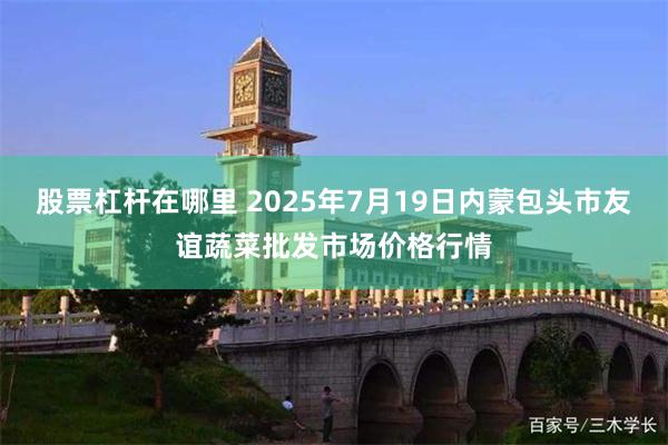 股票杠杆在哪里 2025年7月19日内蒙包头市友谊蔬菜批发市场价格行情
