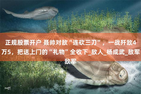 正规股票开户 聂帅对敌“连砍三刀”，一战歼敌4万5，把送上门的“礼物”全收下_敌人_杨成武_敌军