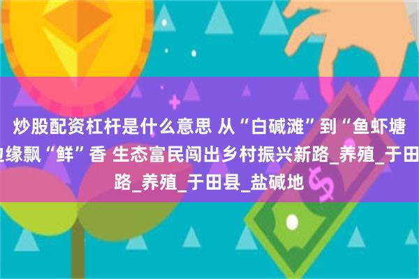 炒股配资杠杆是什么意思 从“白碱滩”到“鱼虾塘”，沙漠边缘飘“鲜”香 生态富民闯出乡村振兴新路_养殖_于田县_盐碱地
