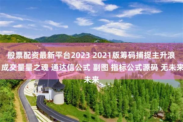 股票配资最新平台2023 2021版筹码捕捉主升浪 成交量量之魂 通达信公式 副图 指标公式源码 无未来