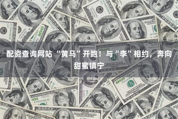配资查询网站 “黄马”开跑！与“李”相约，奔向甜蜜镇宁
