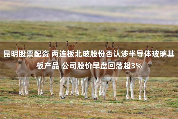 昆明股票配资 两连板北玻股份否认涉半导体玻璃基板产品 公司股价早盘回落超3%