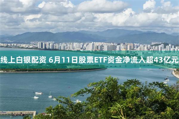 线上白银配资 6月11日股票ETF资金净流入超43亿元
