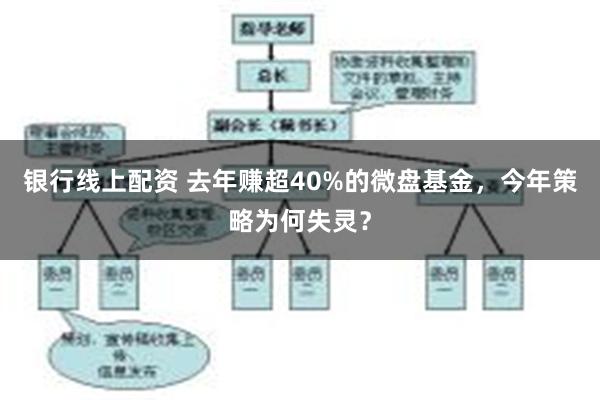 银行线上配资 去年赚超40%的微盘基金，今年策略为何失灵？