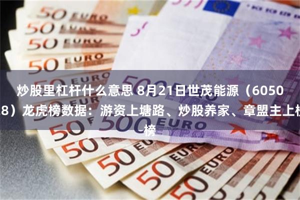 炒股里杠杆什么意思 8月21日世茂能源（605028）龙虎榜数据：游资上塘路、炒股养家、章盟主上榜