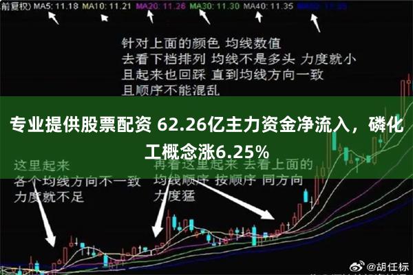 专业提供股票配资 62.26亿主力资金净流入，磷化工概念涨6.25%