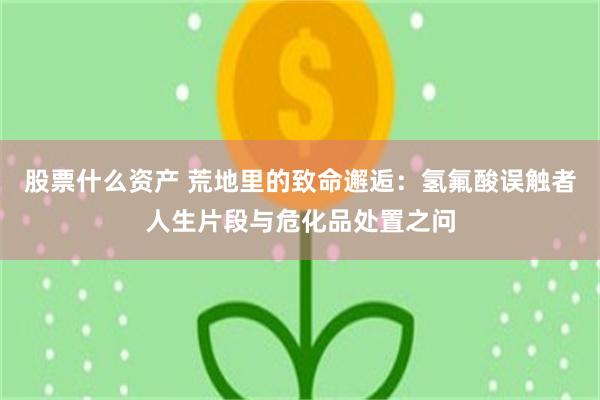 股票什么资产 荒地里的致命邂逅：氢氟酸误触者人生片段与危化品处置之问