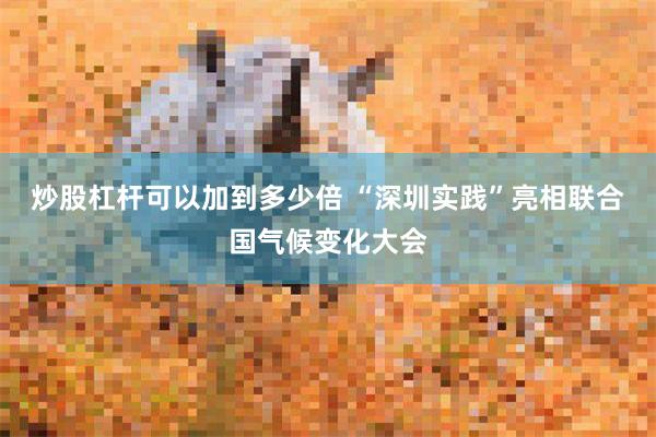 炒股杠杆可以加到多少倍 “深圳实践”亮相联合国气候变化大会