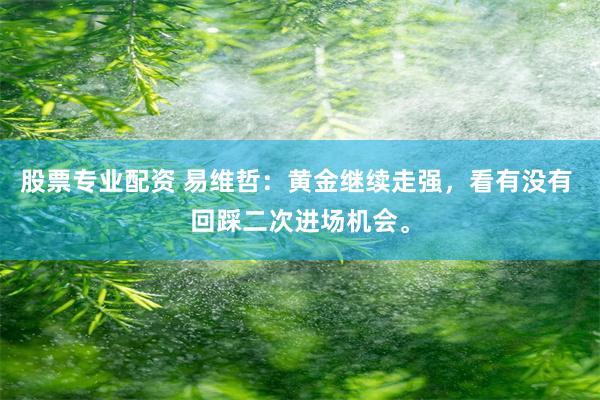 股票专业配资 易维哲:黄金继续走强,看有没有 回踩二次进场机会。
