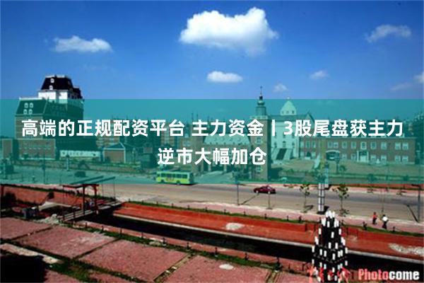 高端的正规配资平台 主力资金丨3股尾盘获主力逆市大幅加仓