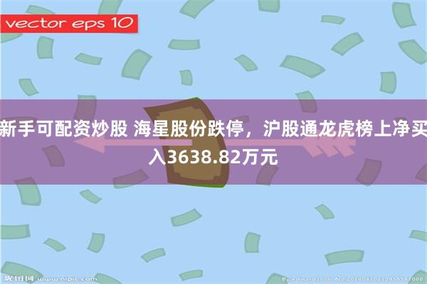 新手可配资炒股 海星股份跌停，沪股通龙虎榜上净买入3638.82万元