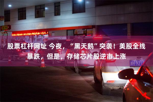 股票杠杆网址 今夜，“黑天鹅”突袭！美股全线暴跌，但是，存储芯片股逆市上涨
