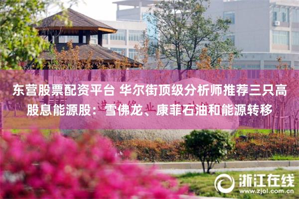 东营股票配资平台 华尔街顶级分析师推荐三只高股息能源股：雪佛龙、康菲石油和能源转移