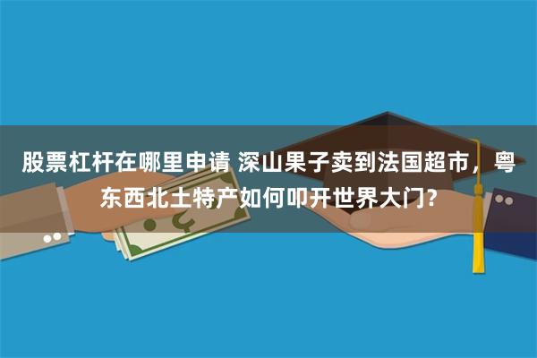 股票杠杆在哪里申请 深山果子卖到法国超市，粤东西北土特产如何叩开世界大门？