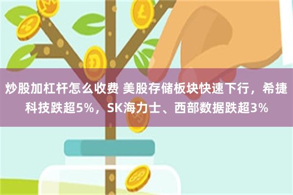 炒股加杠杆怎么收费 美股存储板块快速下行，希捷科技跌超5%，SK海力士、西部数据跌超3%