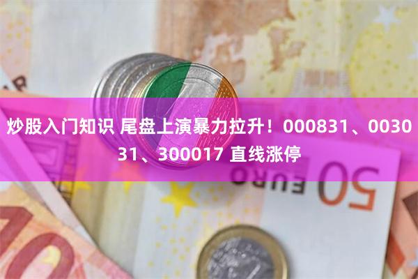 炒股入门知识 尾盘上演暴力拉升！000831、003031、300017 直线涨停