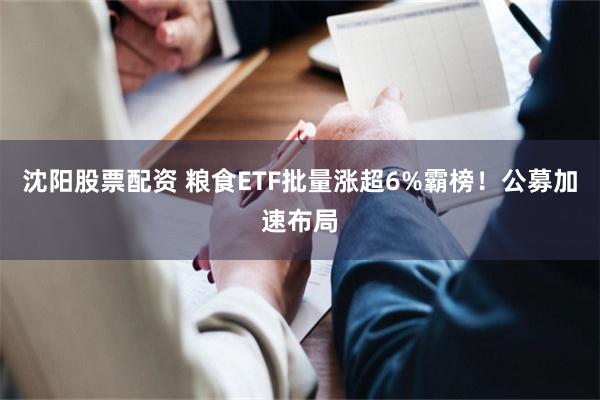 沈阳股票配资 粮食ETF批量涨超6%霸榜！公募加速布局