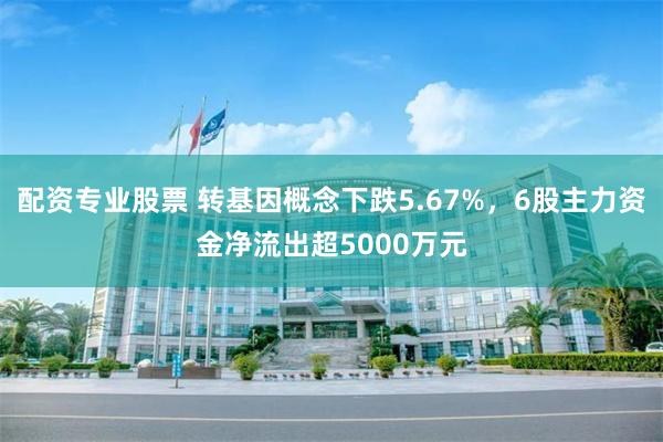 配资专业股票 转基因概念下跌5.67%，6股主力资金净流出超5000万元