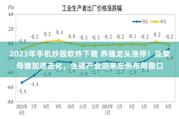 2023年手机炒股软件下载 养殖龙头涨停！能繁母猪加速去化，生猪产业迎来左侧布局窗口