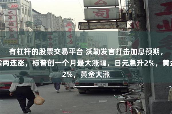 有杠杆的股票交易平台 沃勒发言打击加息预期,美股指两连涨,标普创一个月最大涨幅,日元急升2%,黄金大涨