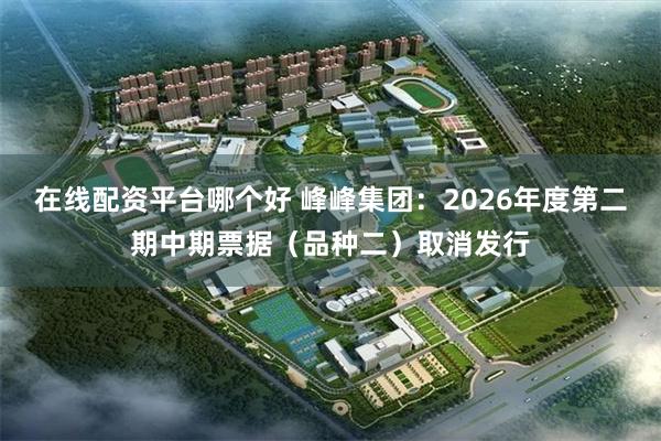 在线配资平台哪个好 峰峰集团：2026年度第二期中期票据（品种二）取消发行