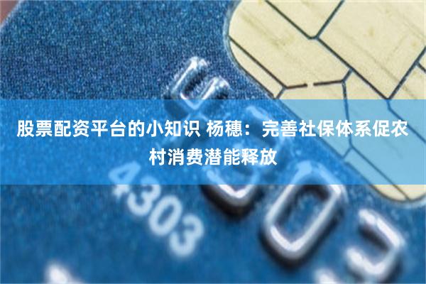 股票配资平台的小知识 杨穗：完善社保体系促农村消费潜能释放