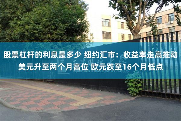 股票杠杆的利息是多少 纽约汇市：收益率走高推动美元升至两个月高位 欧元跌至16个月低点