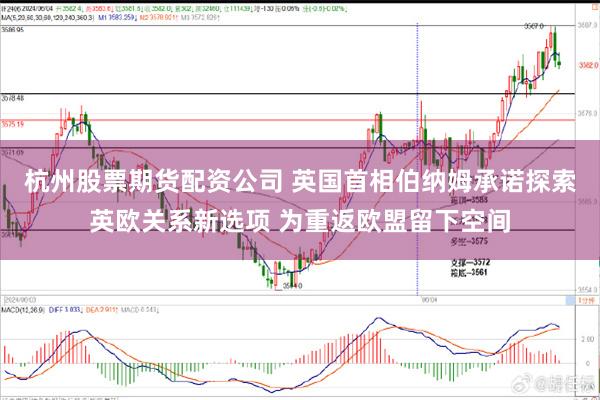 杭州股票期货配资公司 英国首相伯纳姆承诺探索英欧关系新选项 为重返欧盟留下空间