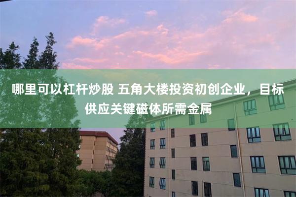 哪里可以杠杆炒股 五角大楼投资初创企业，目标供应关键磁体所需金属