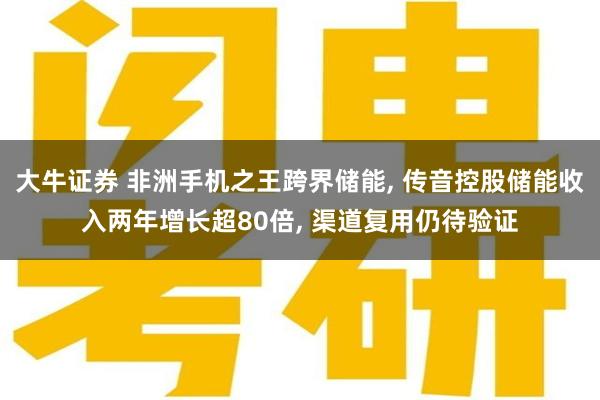 大牛证券 非洲手机之王跨界储能, 传音控股储能收入两年增长超80倍, 渠道复用仍待验证