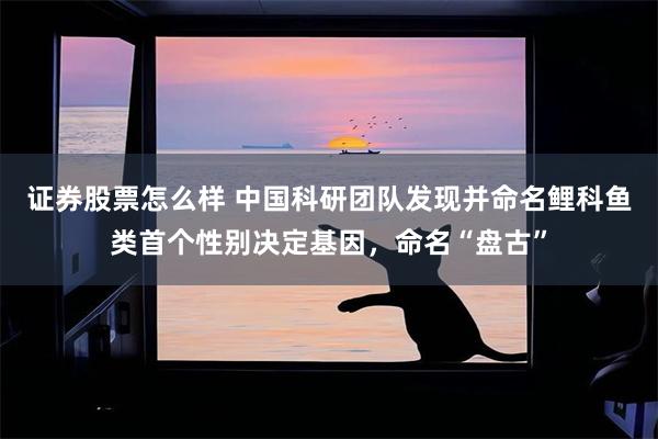 证券股票怎么样 中国科研团队发现并命名鲤科鱼类首个性别决定基因，命名“盘古”