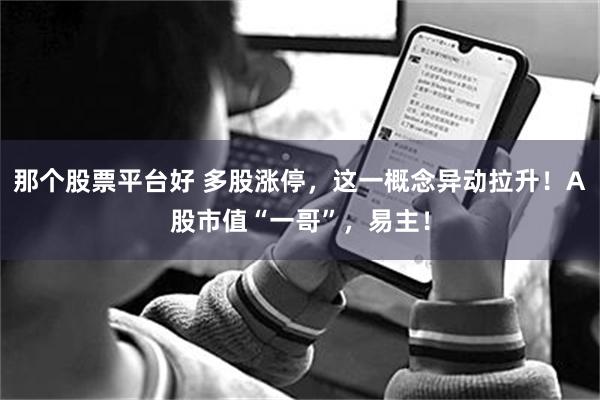 那个股票平台好 多股涨停，这一概念异动拉升！A股市值“一哥”，易主！